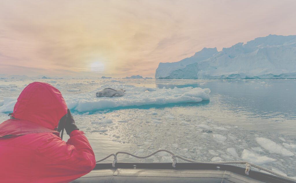 Traveler photographing a seal on ice during an Arctic expedition cruise at sunrise