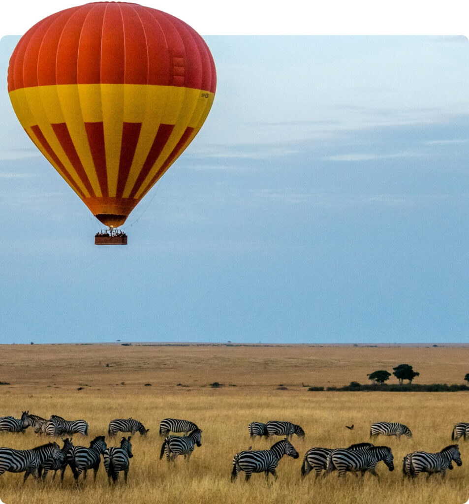 air balloon decorative image | traveltek